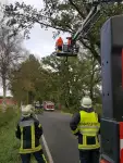 Xavier  - Sturmschäden auch in Krelingen