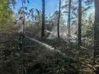 BAB7: 4000qm Wald- & Böschungsbrand