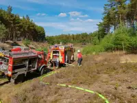 BAB7: 4000qm Wald- & Böschungsbrand