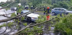 BAB7: Baum auf PKW nach Unwetter