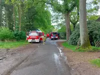 Person kommt bei Gebäudebrand in Bockhorn ums Leben
