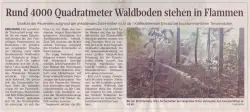 Rund 4000 Quadratmeter Waldboden stehen in Flammen