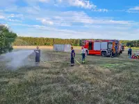 Vegetationsbrand - Übung folgt auf Einsatz