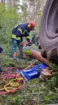 Waldarbeiter schwer verletzt – Feuerwehren Düshorn und Krelingen üben den Ernstfall
