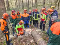 Ein Tag Motorsägenausbildung mit Sören