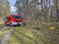 Ein Tag Motorsägenausbildung mit Sören