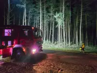 Einsatzübungen bunt gemischt