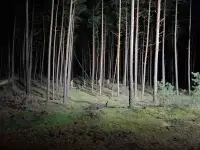 Einsatzübungen bunt gemischt